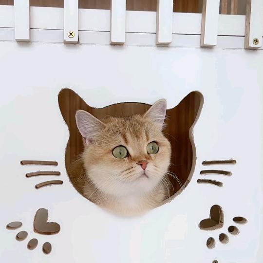 ゝω・´★