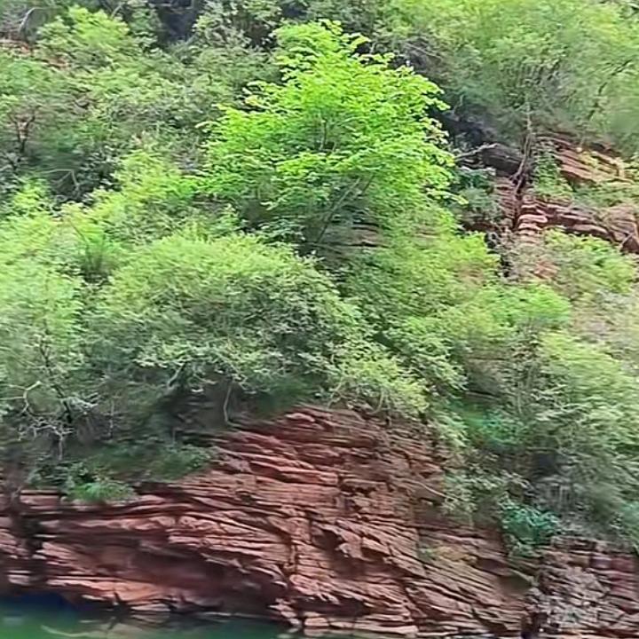 缘来不拒“缘去不留”