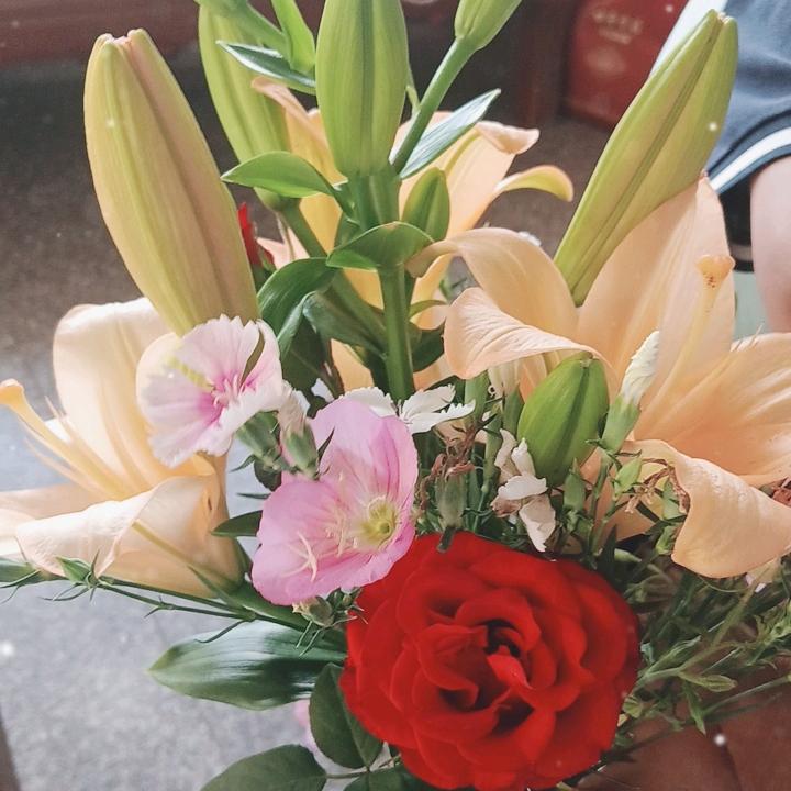 瑛🐇子🌹拒绝聊天