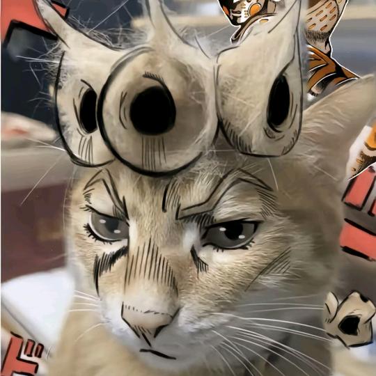 超级无敌妃子宝宝