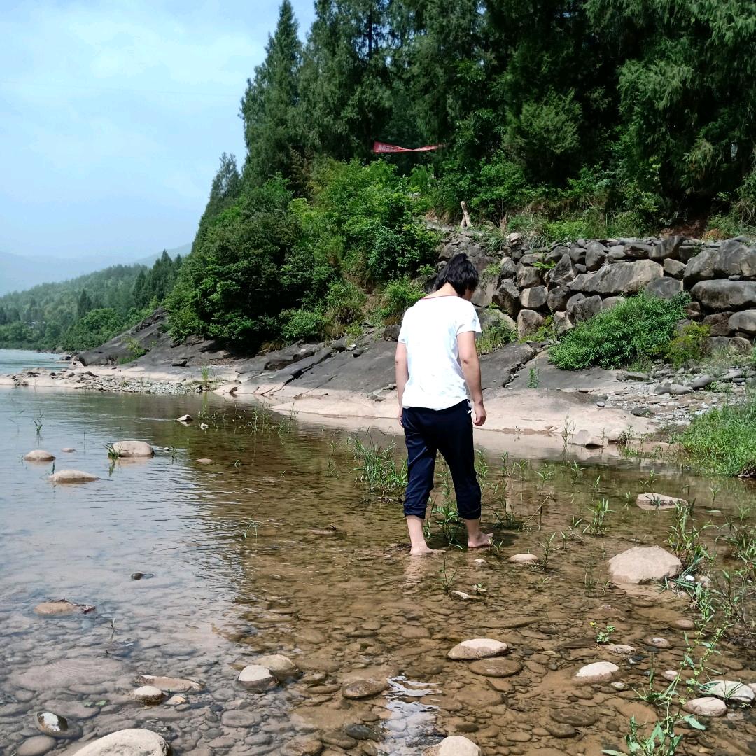 云端山鹰
