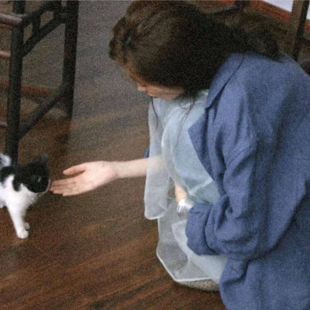 第二支羽毛˚◞🌌