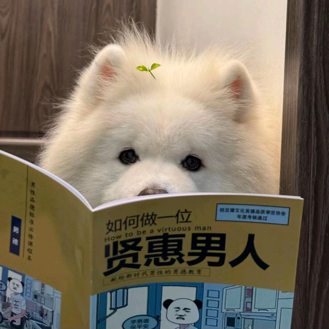 空城