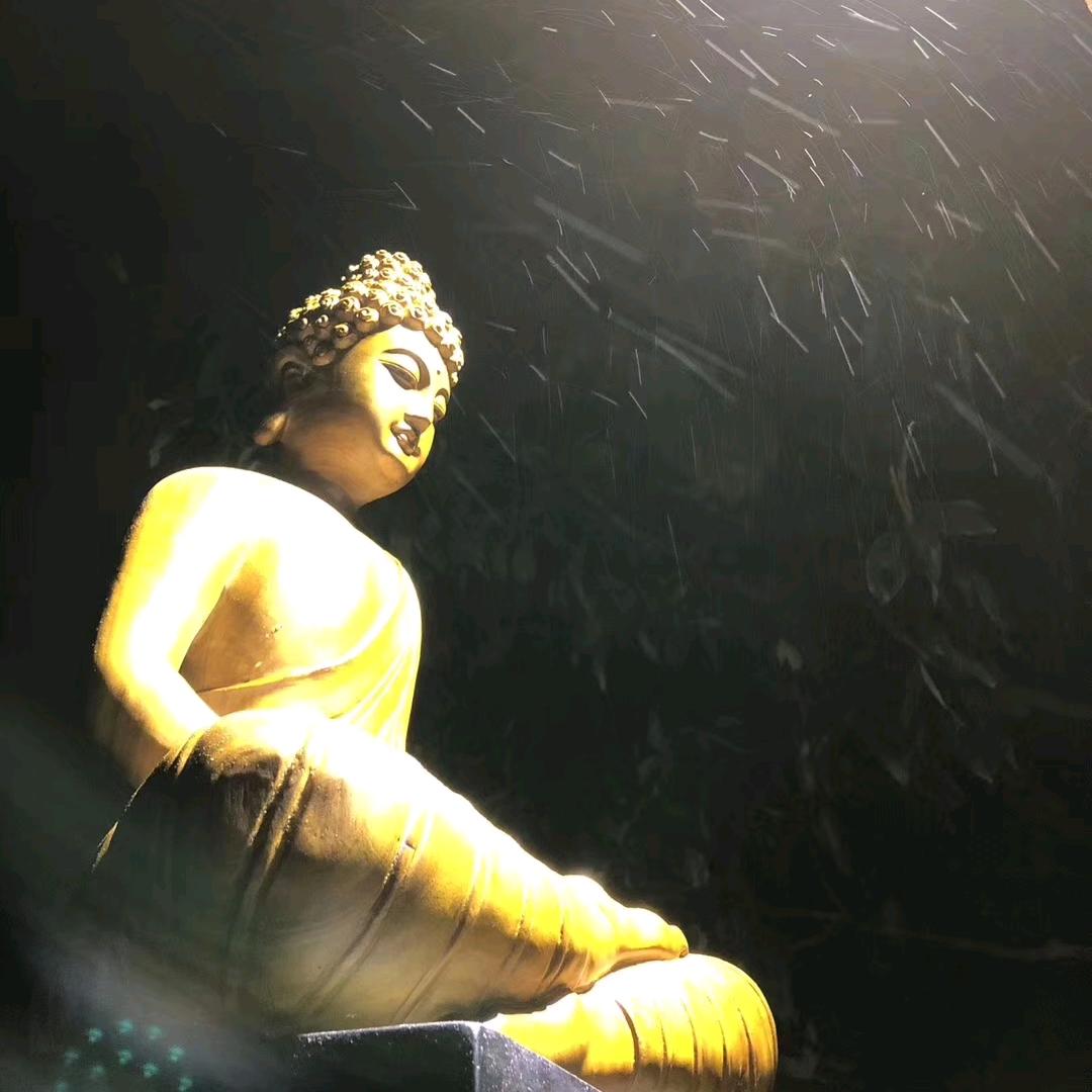 将军