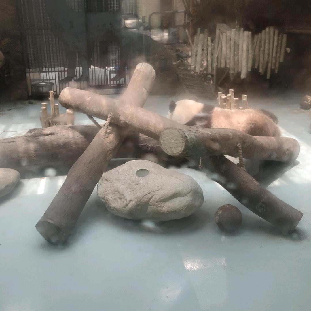 国庆教育静待花开