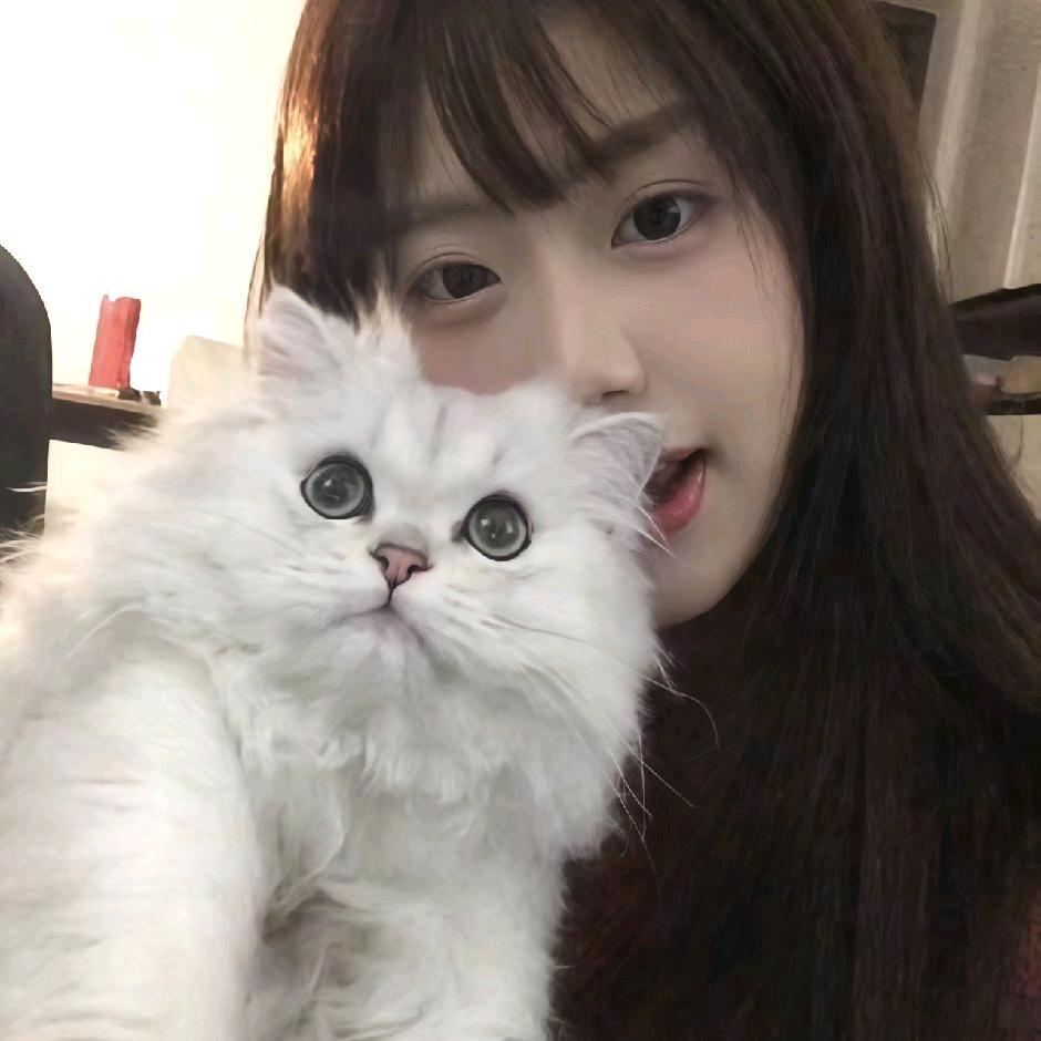 小迷胡💤