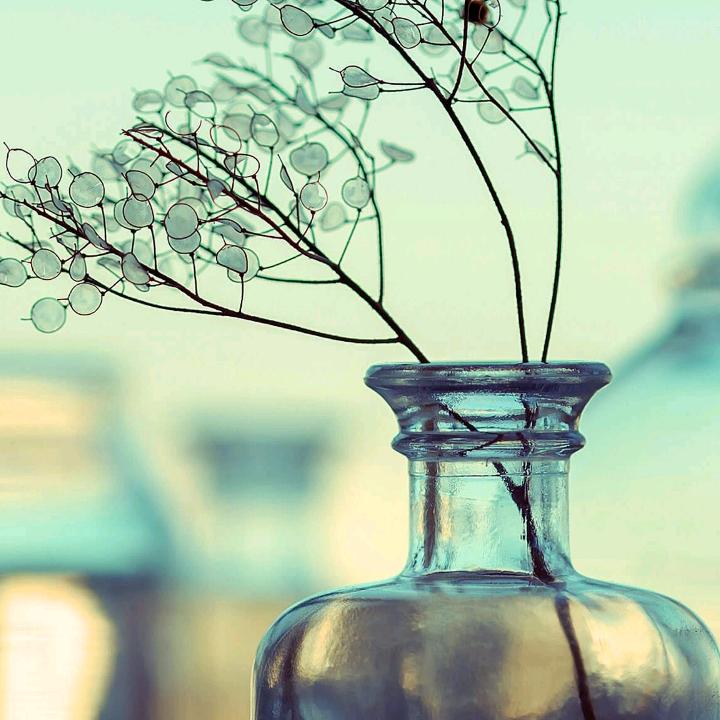 鑫宁直聘～丹丹