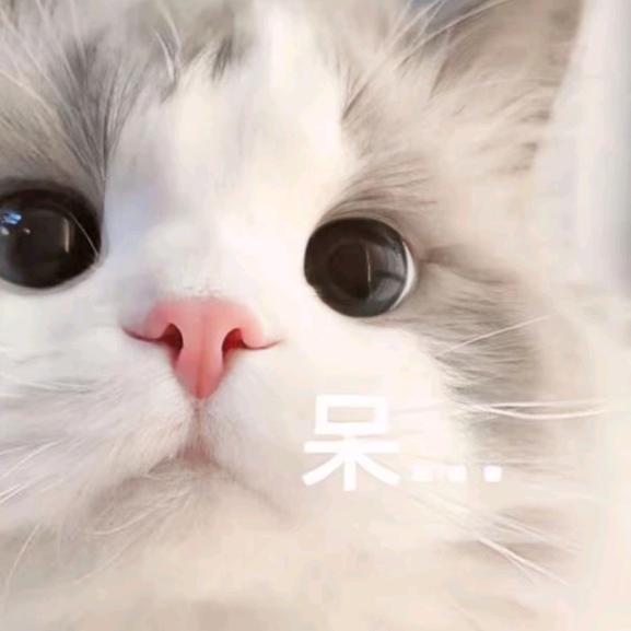雪乐