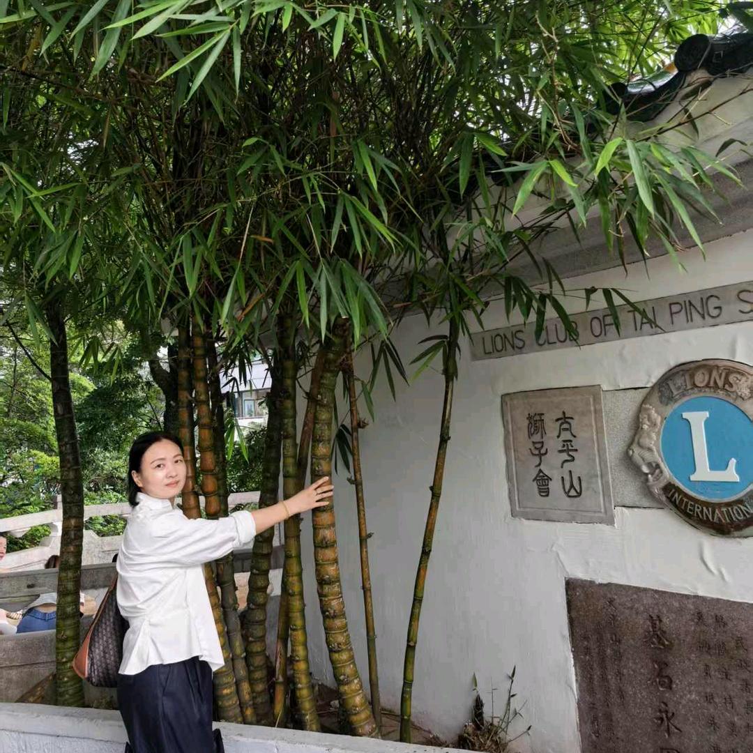 阿朱