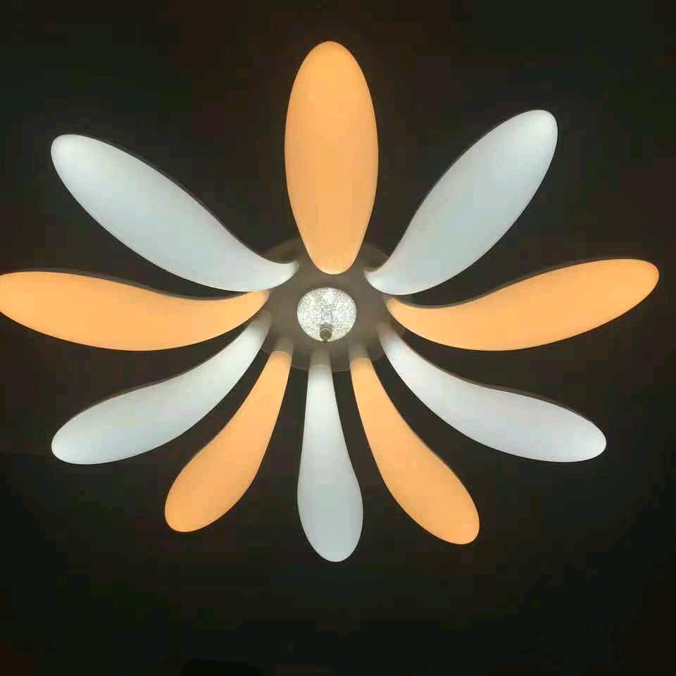 💡Liu忙.日记