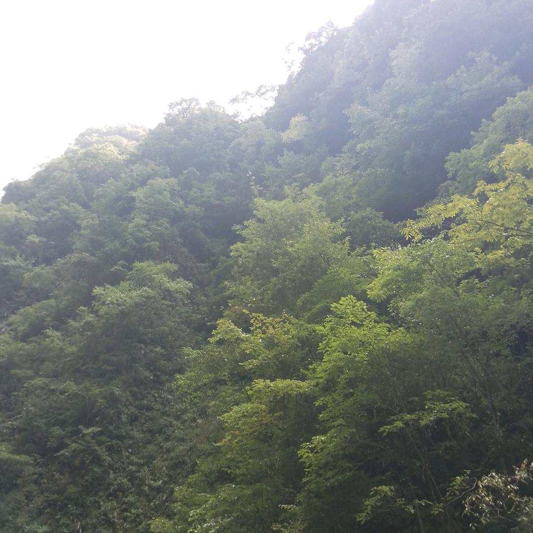 翻身