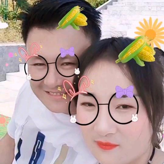 自由的翱翔769