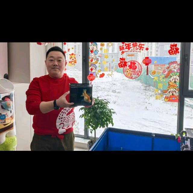 养孔雀鱼的王屁屁