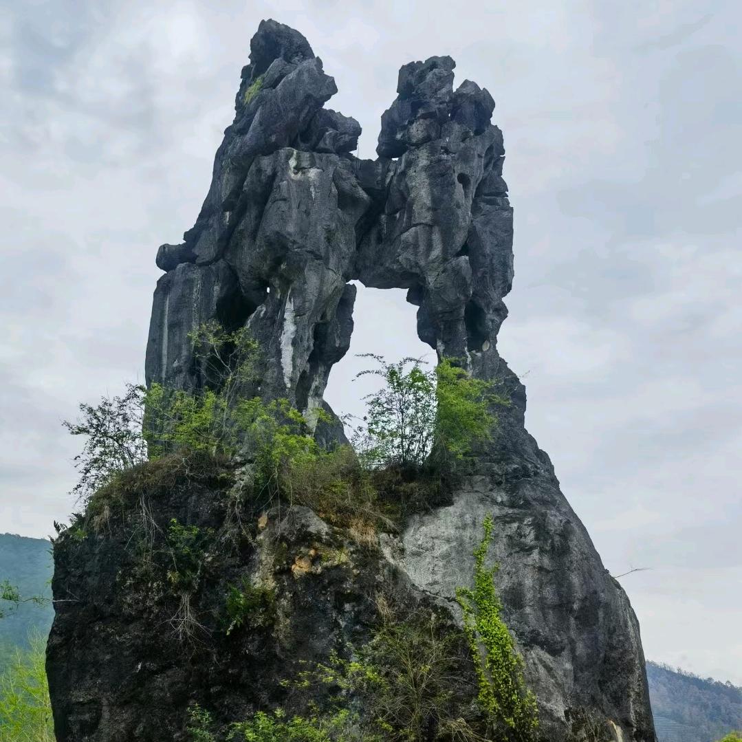 云和市集
