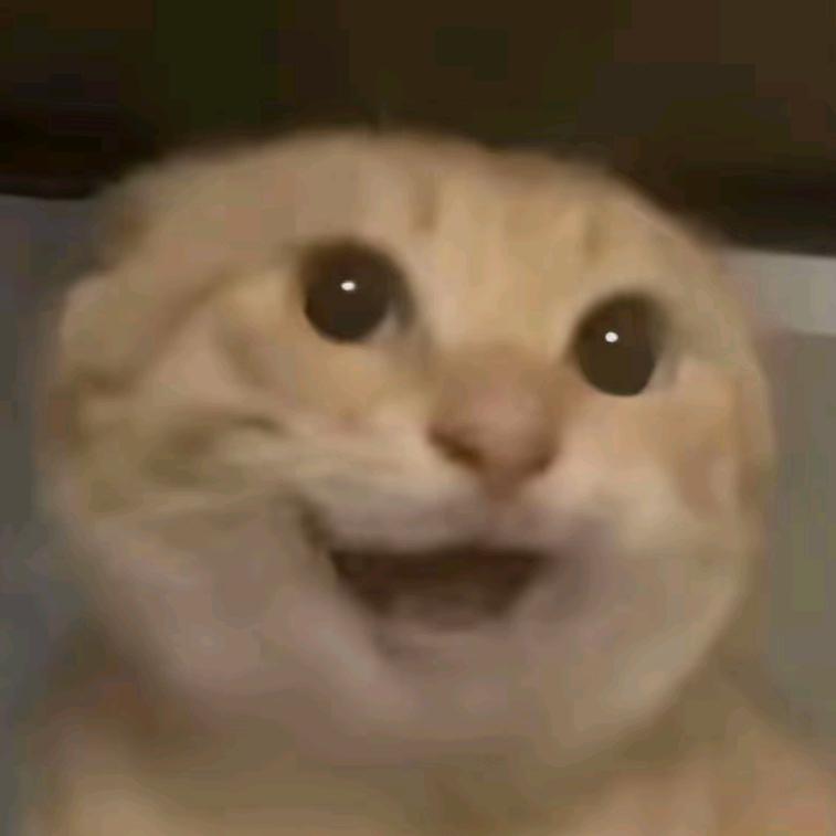 橘味过半