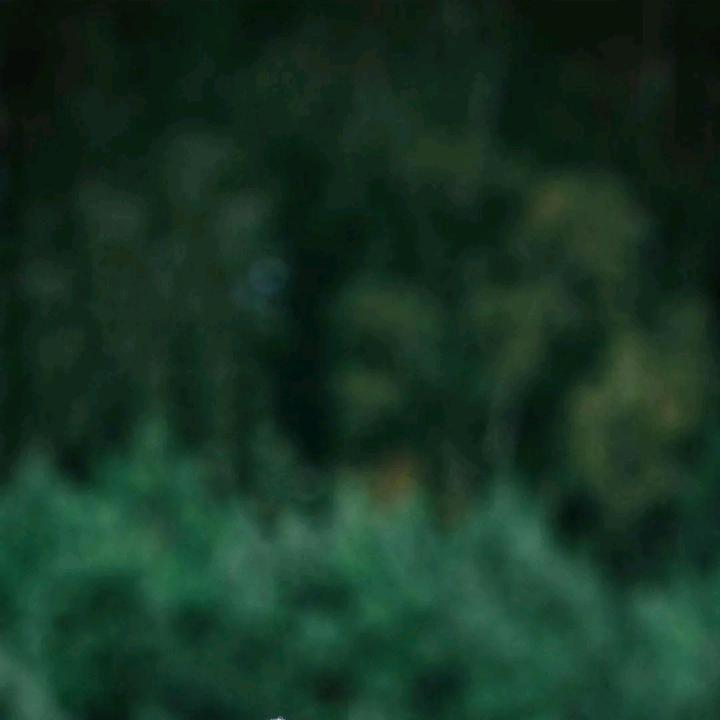越过山丘