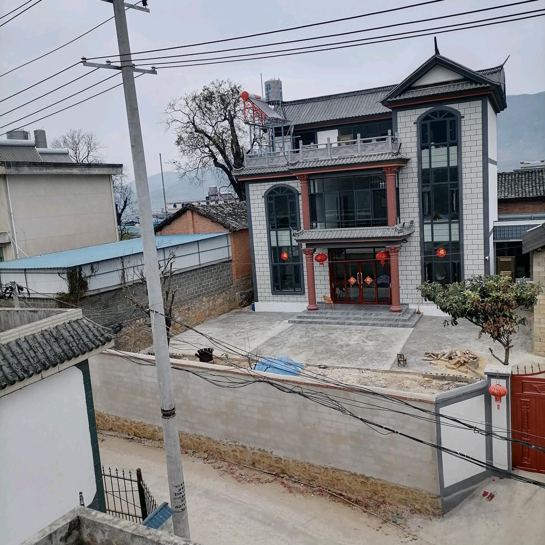 🐸开心果🐸