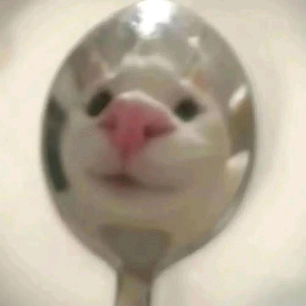 冰大冰