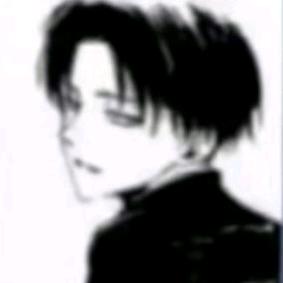 帕迪浩斯何强