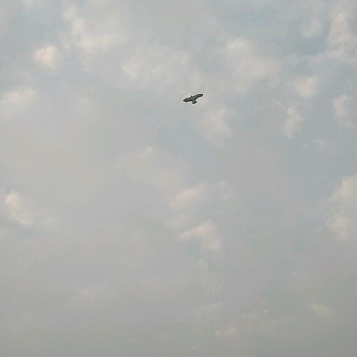 你不会压力我吧