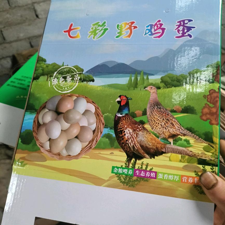 明子山阿镔养殖与种植