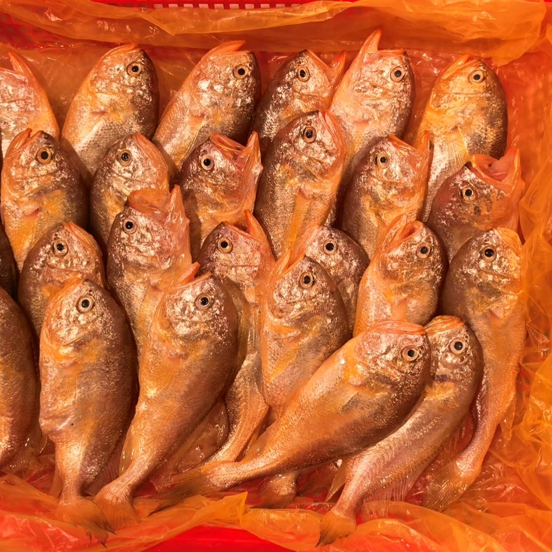 温州老船长海鲜