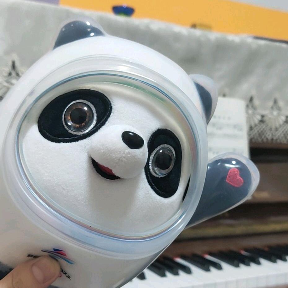 咪发说朵猪
