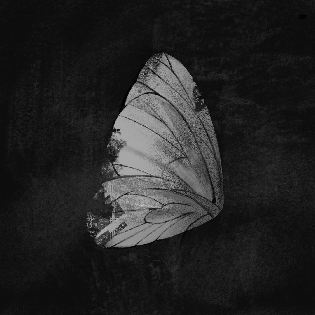 Anesthesia：Reptiles