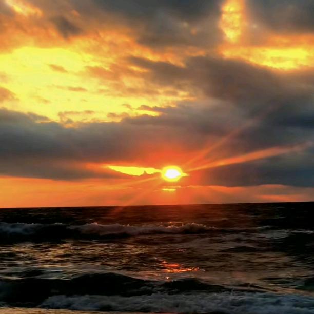 我姓侯，却侯不到你爱的那天