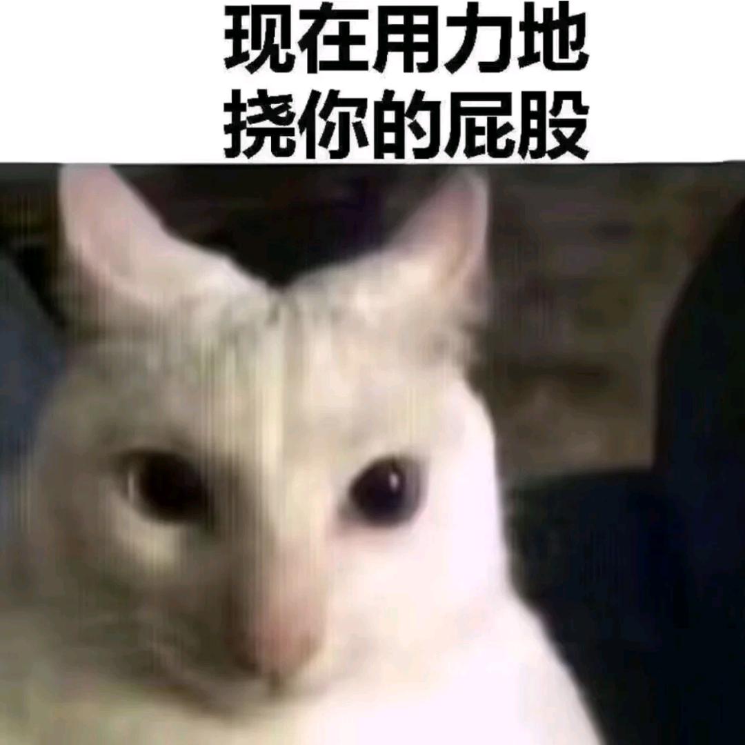 ccydstjjjl