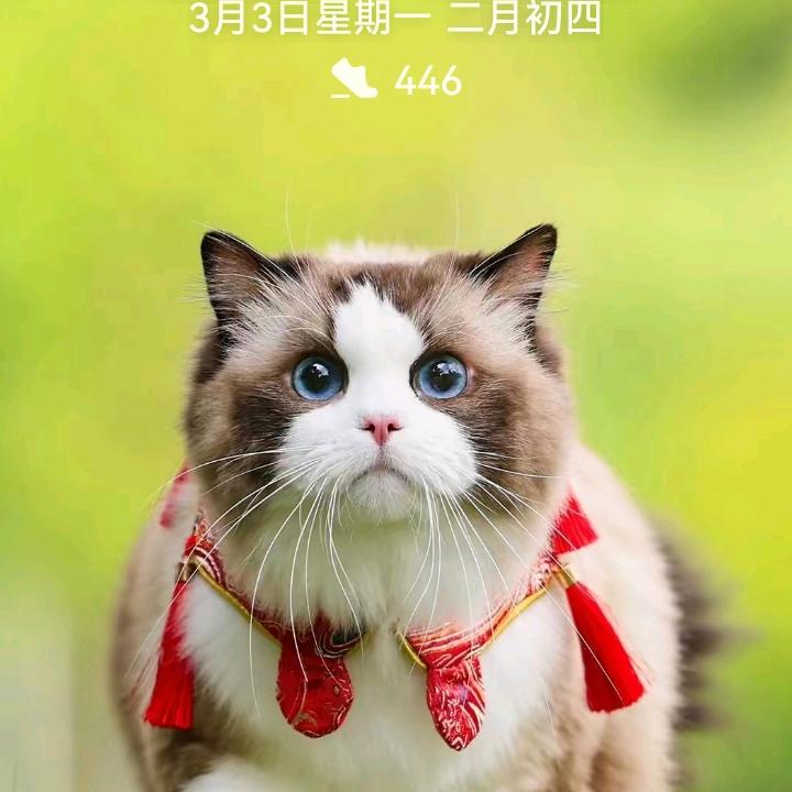 冰冷的心还没有一个来暖化