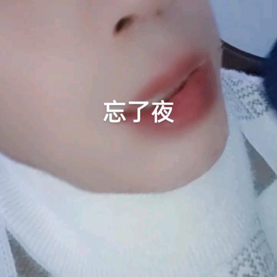 雪豹飞杨
