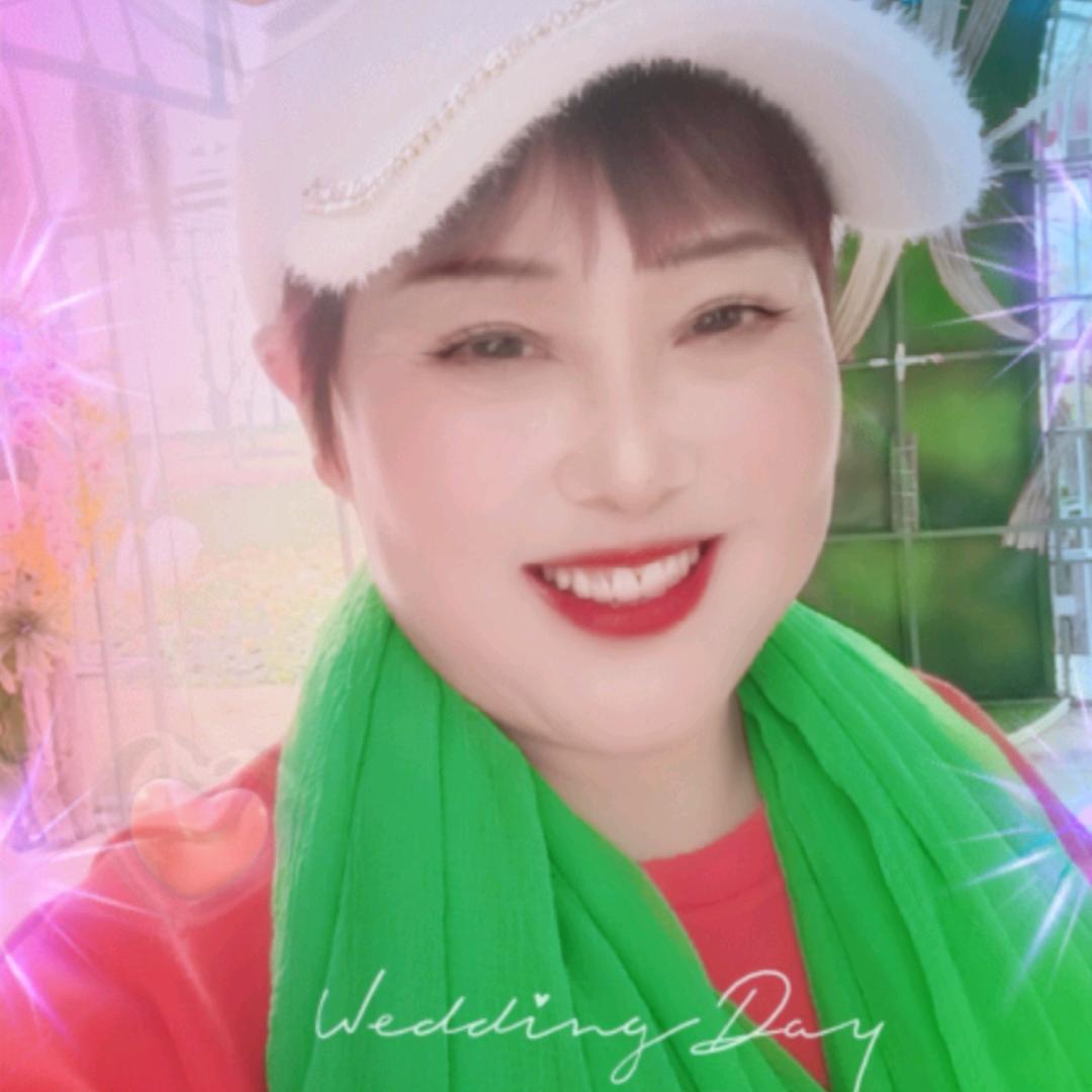 九月菊