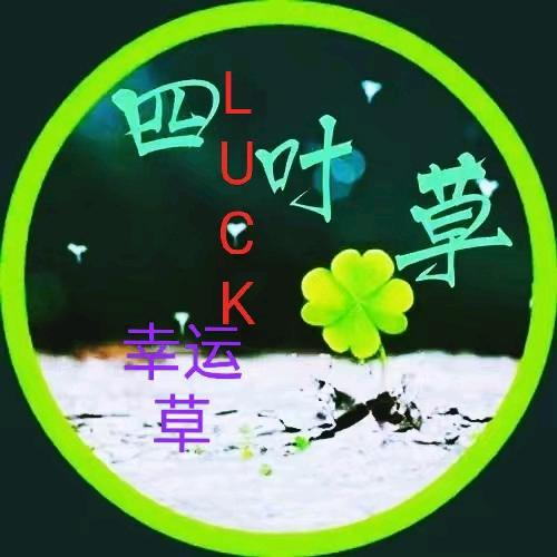🍀四叶草🍀✨