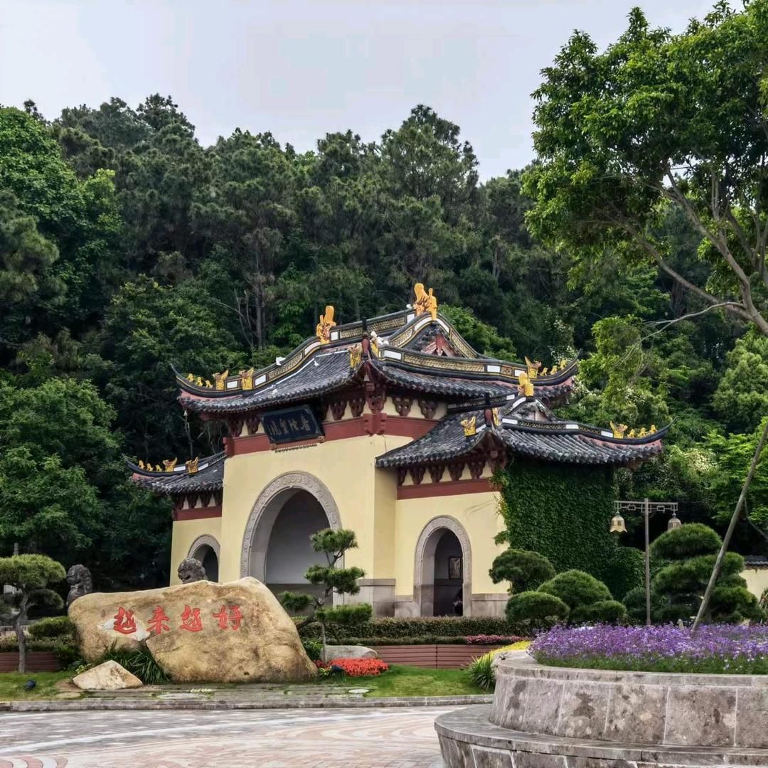 🌈向阳而生