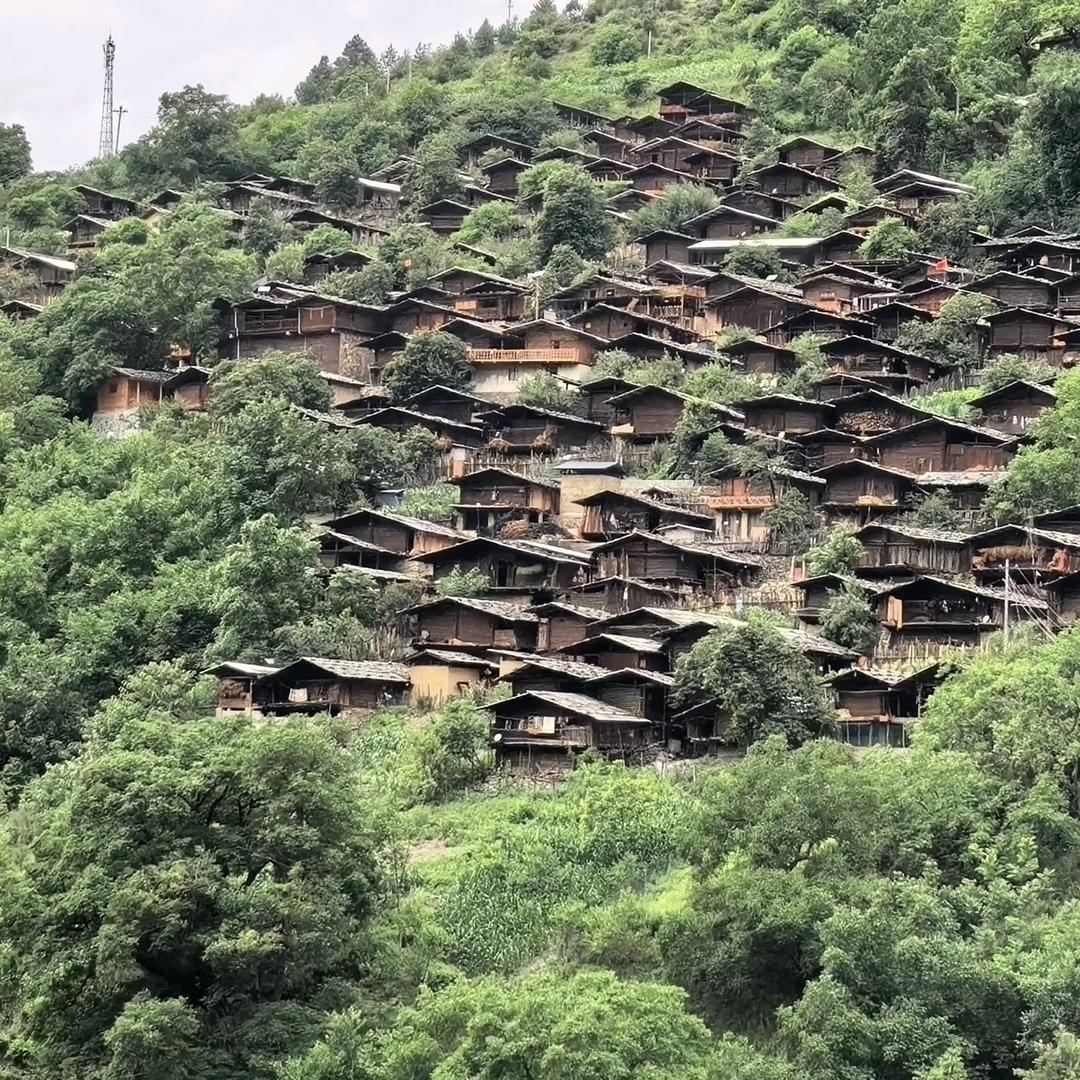 俊哥