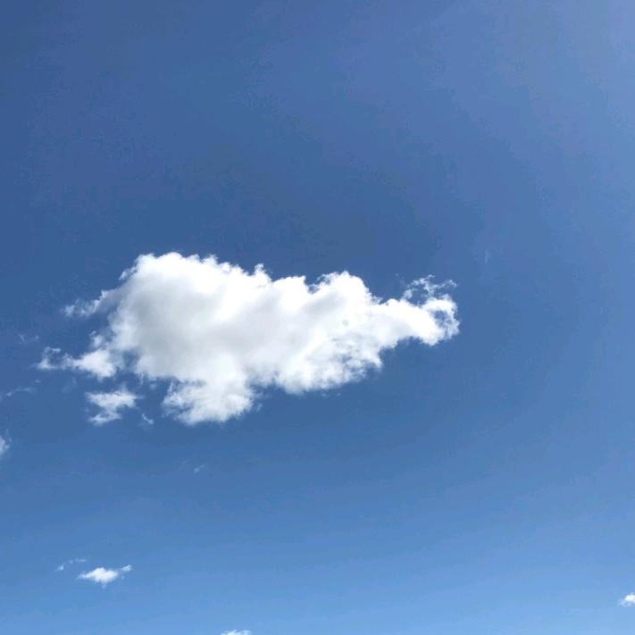 🌈山不老