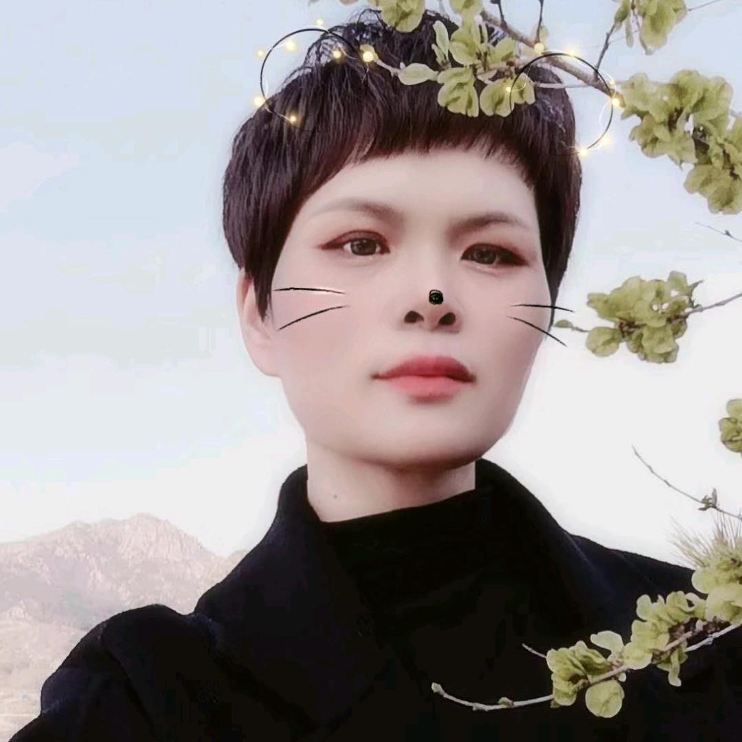 曲阜宋老师馄饨水饺（百页酥饼）