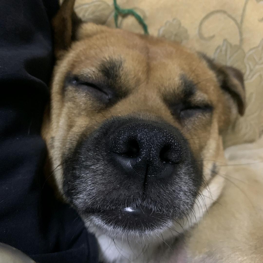 心如钢铁任世间荒芜