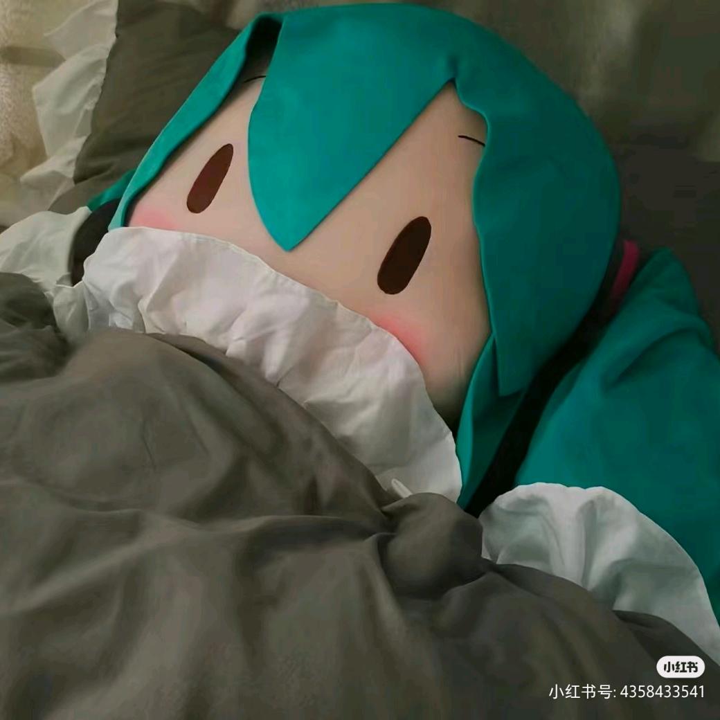 香菜味红烧狮子头