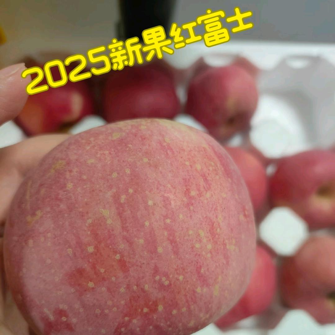 蔬果哆－苹果季