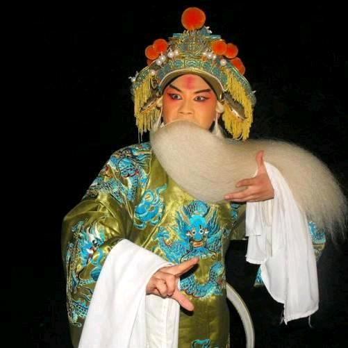 河南省素雅青年豫剧院