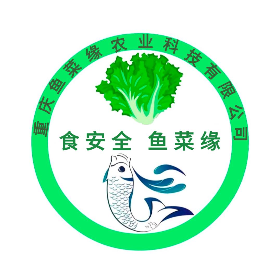唐林家庭鱼菜共生