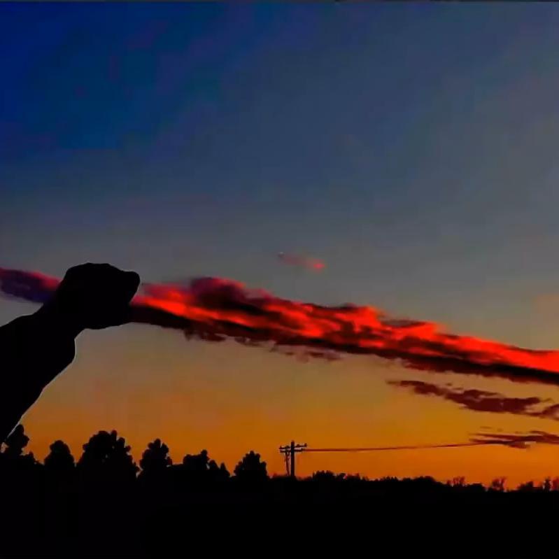 ──   展开1888条回复 ﹀