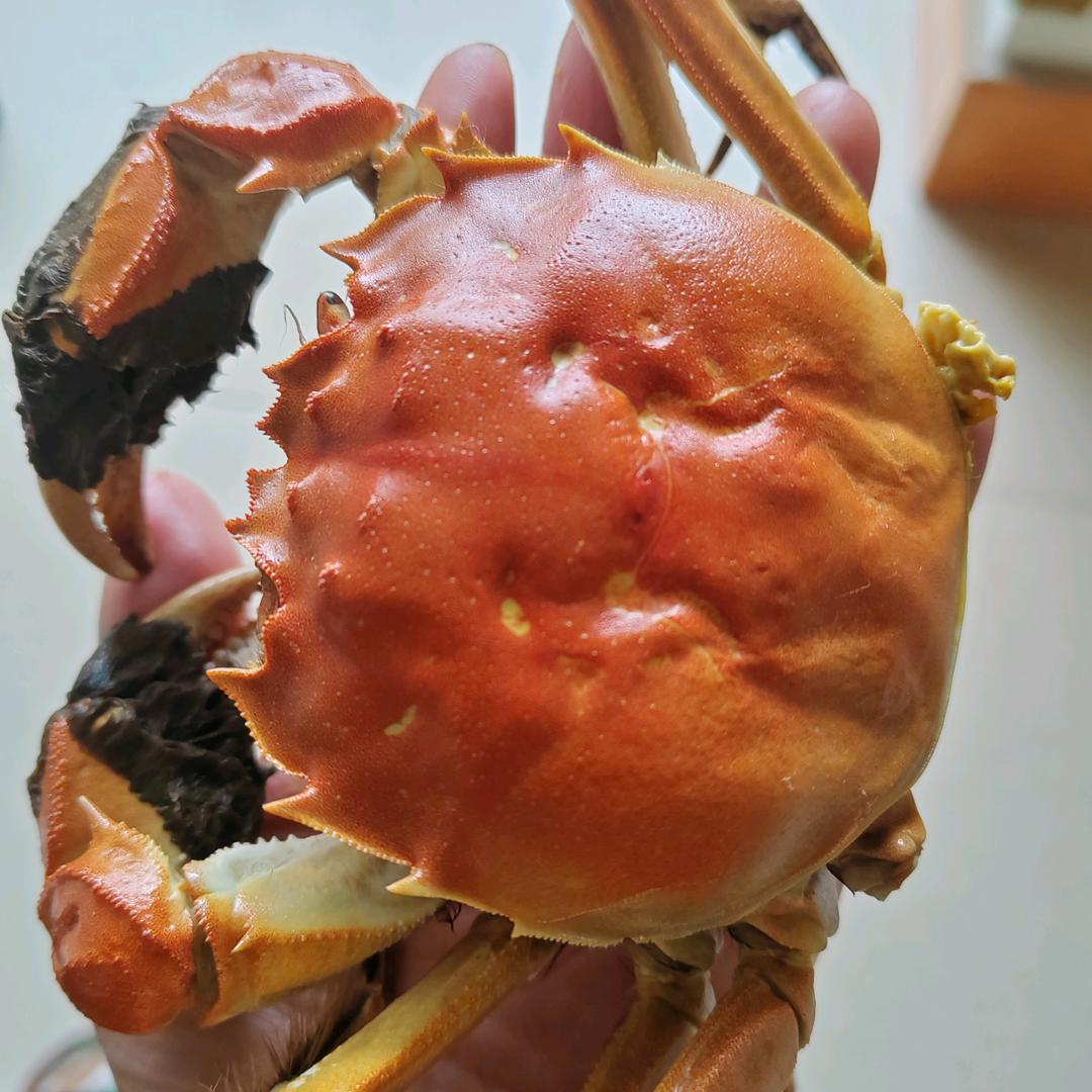 海贼王