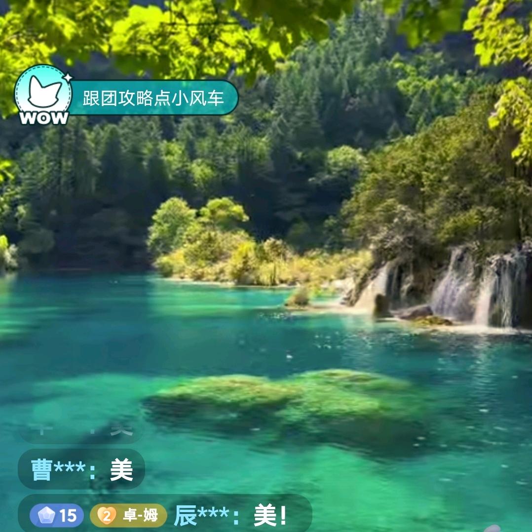 藏龙卧虎