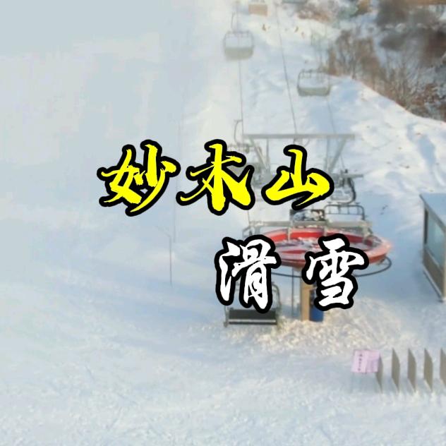妙木山滑雪