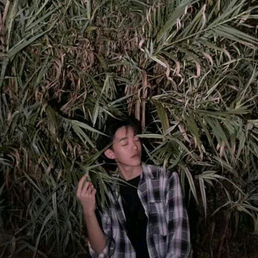 小菜带你吃果咯