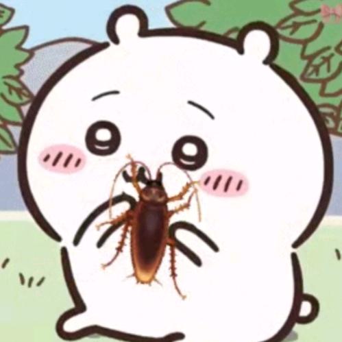 傻狍子