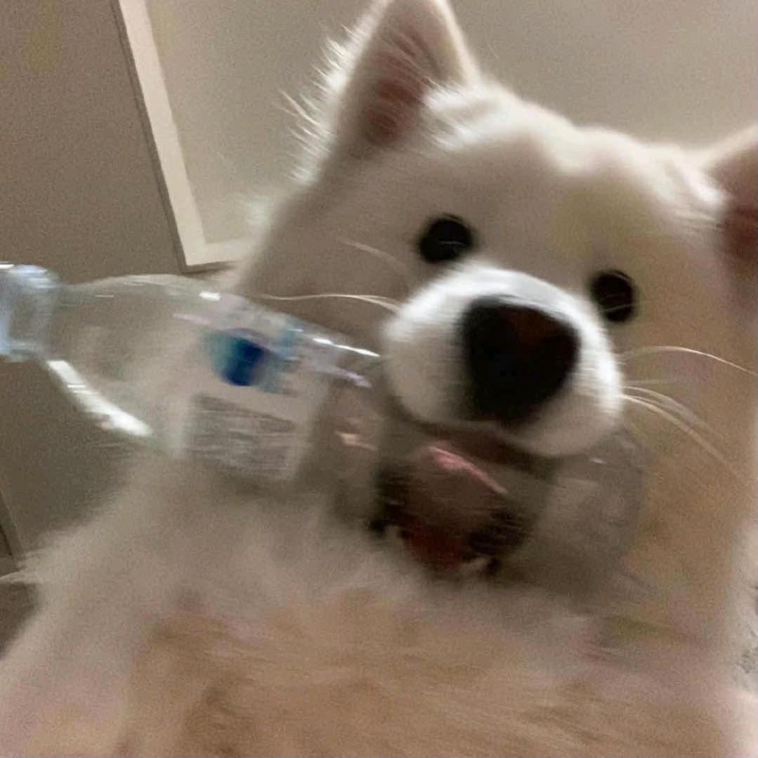 伤心小狗